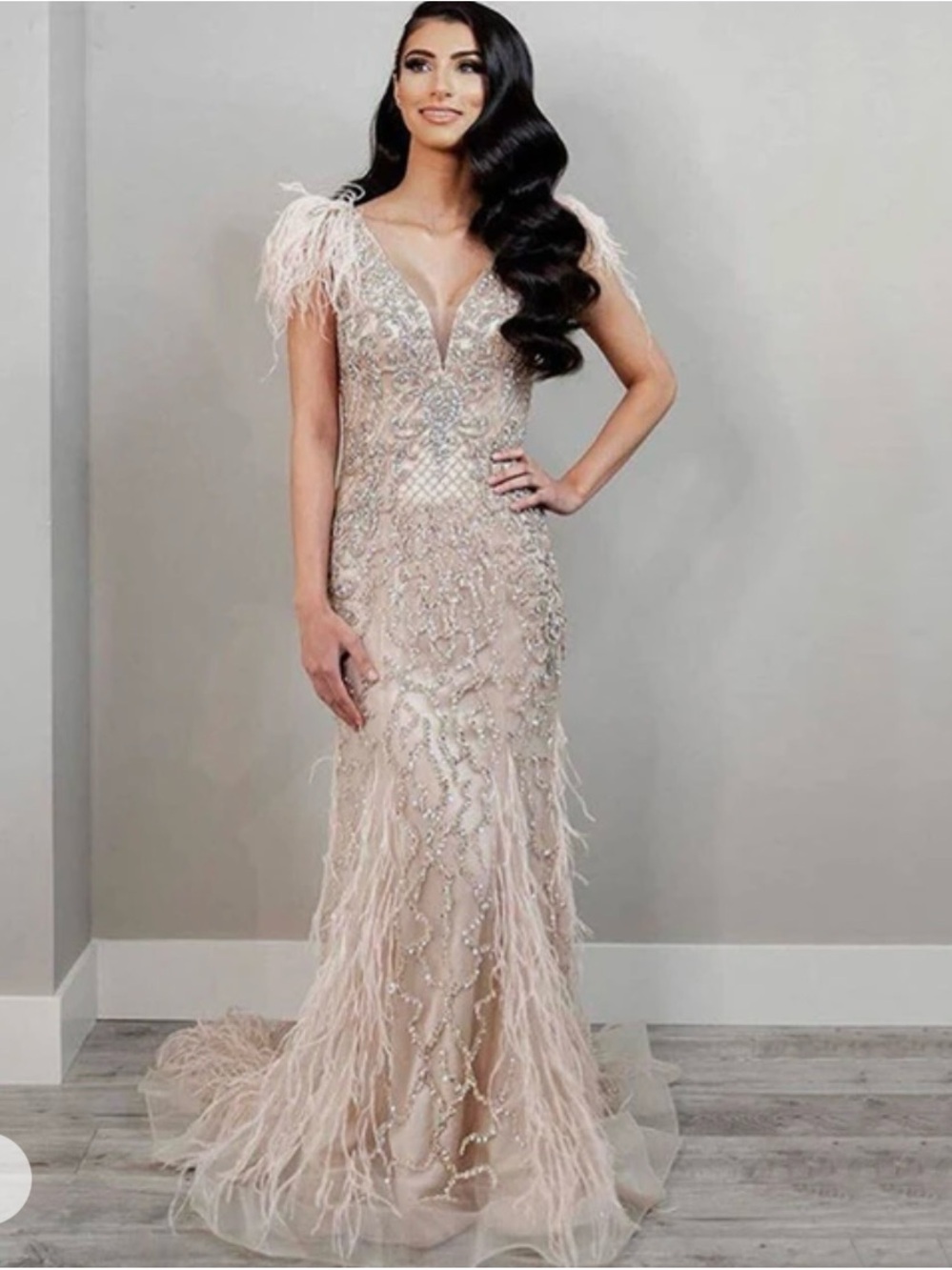 Elegant Feather-Trim Embellished Evening Gown in Blush